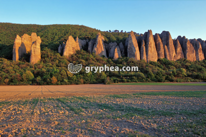 Pénitents des Mées - gryphea.org